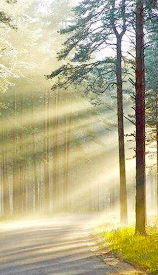  江陰家仕寶家居用品有限公司