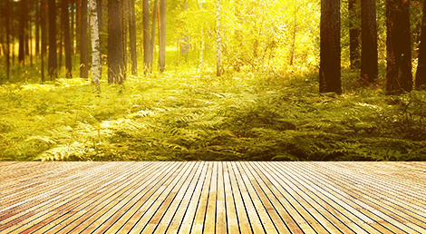  江陰家仕寶家居用品有限公司